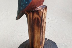 2024 Kingfisher