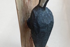 2023 Pileated Woodpecker