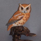 Eastern Screech Owl