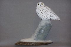 Snowy Owl