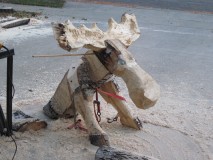 The moose in progress