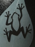 The Climber Climbing Mantella