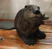 Beaver