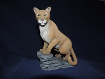 Mountain Lion