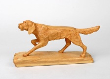 Dog in Point