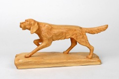 Dog in Point