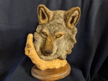 Wolf Head