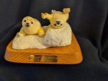 Harp Seal Pups