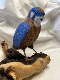 Kestrel