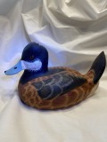 Ruddy Duck