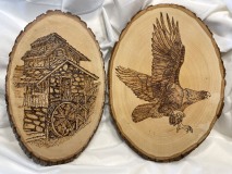 Eagle in Flight