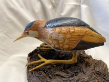 Virginia Rail