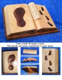 PC8 - Mike Snyder - Footprints Book