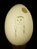 Barn Owl and Moon