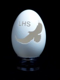 Lourdes High School Eagle
