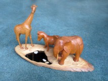 The Water Hole