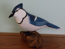 Blue Jay