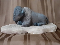 Resting Buffalo