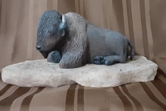 Resting Buffalo