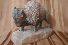 Standing Buffalo